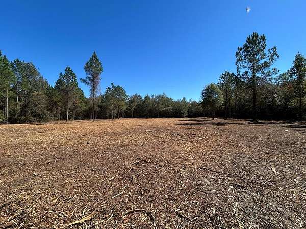 20 Acres of Agricultural Land for Sale in Ashford, Alabama