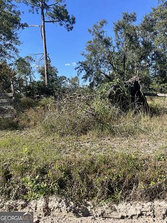 9.53 Acres of Residential Land for Sale in Valdosta, Georgia
