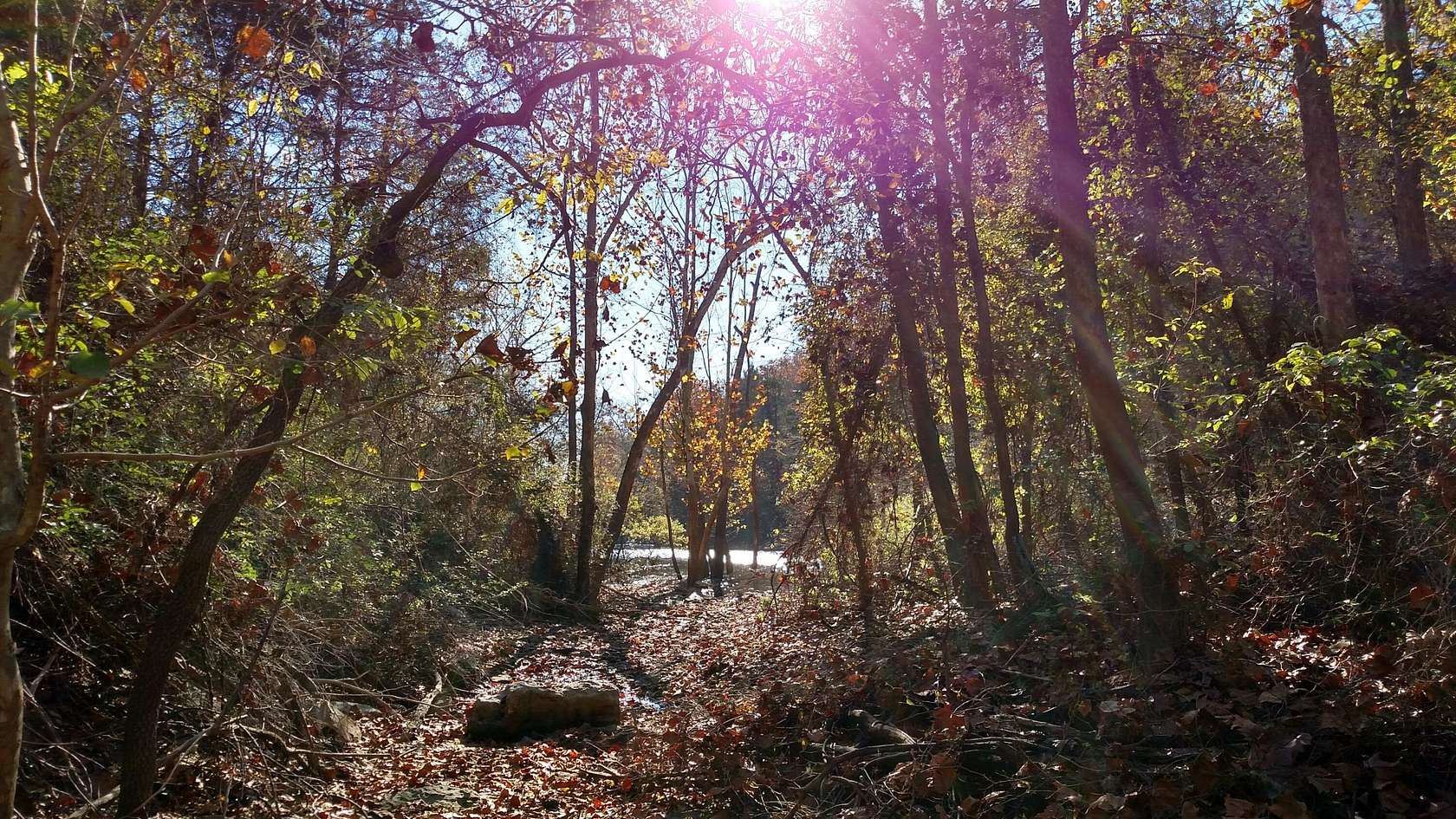 50 Acres of Recreational Land for Sale in Galena, Missouri