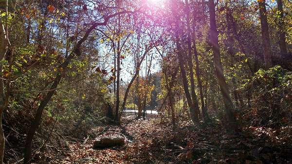 50 Acres of Recreational Land for Sale in Galena, Missouri