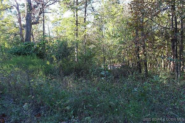 0.34 Acres of Residential Land for Sale in Stover, Missouri