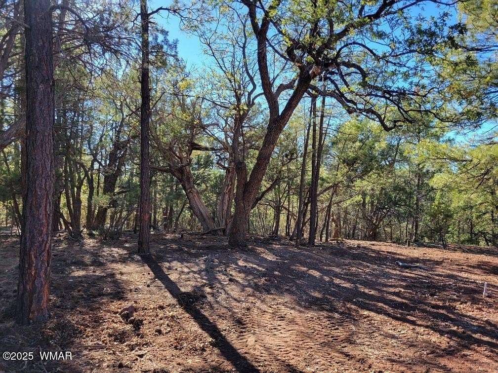 0.62 Acres of Residential Land for Sale in Show Low, Arizona