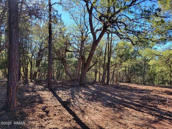 0.62 Acres of Residential Land for Sale in Show Low, Arizona