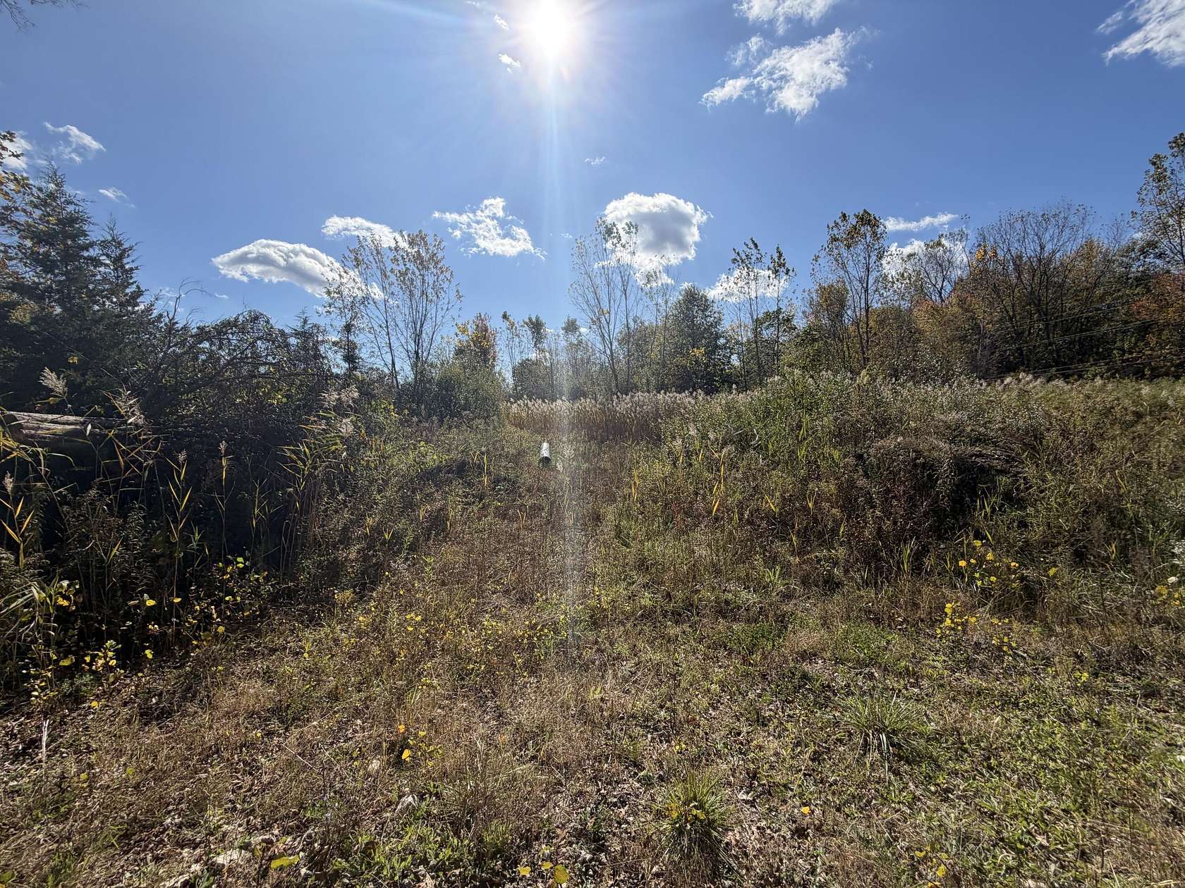 5 Acres of Residential Land for Sale in Belleville, Michigan