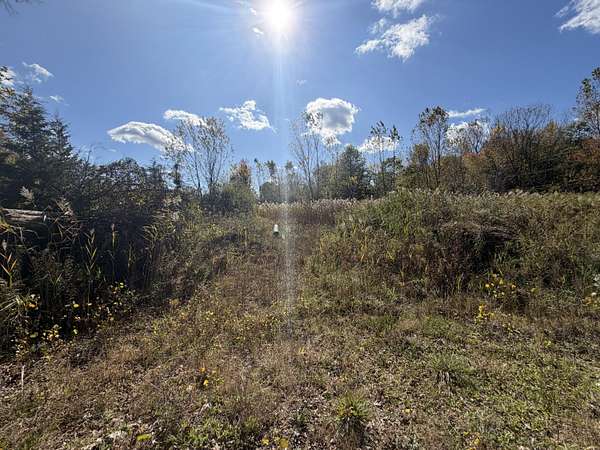 5 Acres of Residential Land for Sale in Belleville, Michigan