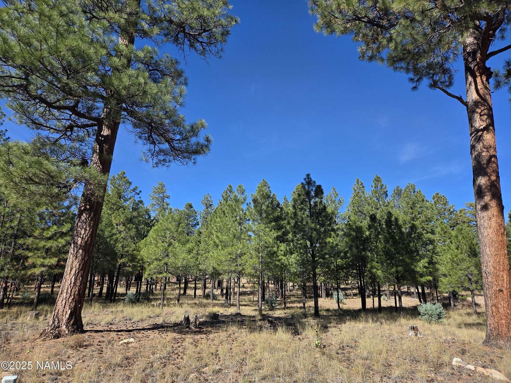 0.73 Acres of Land for Sale in Happy Jack, Arizona