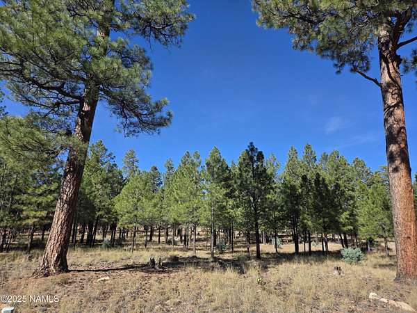 0.73 Acres of Land for Sale in Happy Jack, Arizona