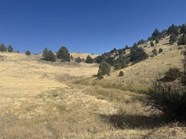 2.5 Acres of Residential Land for Sale in Hornbrook, California