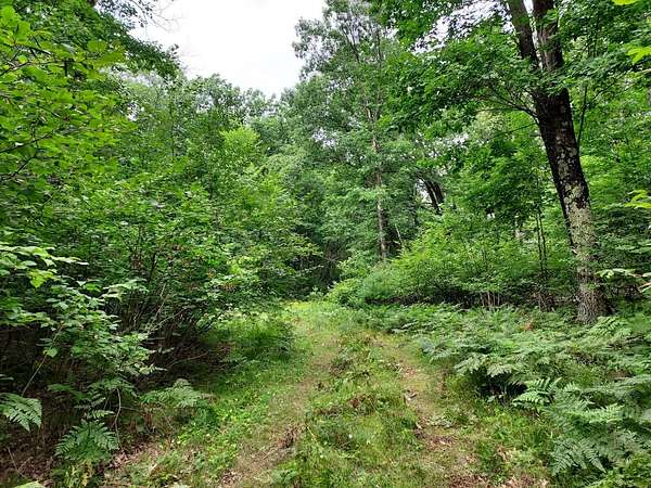 3.1 Acres of Land for Sale in Beecher, Wisconsin