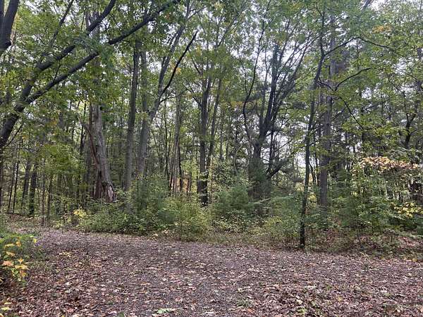 7.9 Acres of Land for Sale in Coloma, Michigan