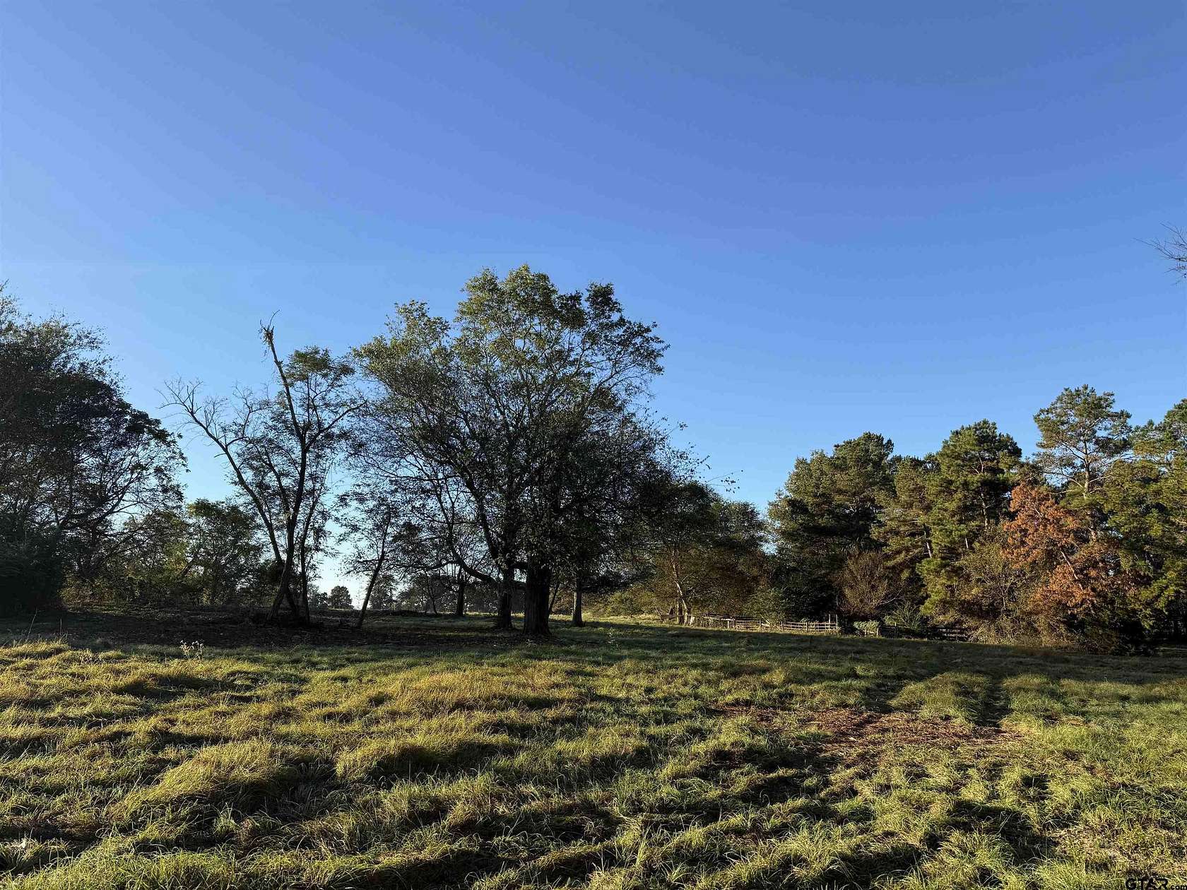 10 Acres of Agricultural Land for Sale in Henderson, Texas