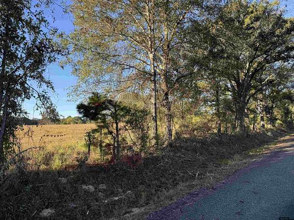 10 Acres of Residential Land for Sale in Henderson, Texas