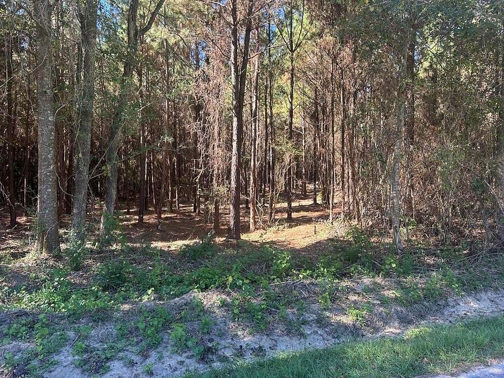 20 Acres of Land for Sale in Laurel, Mississippi