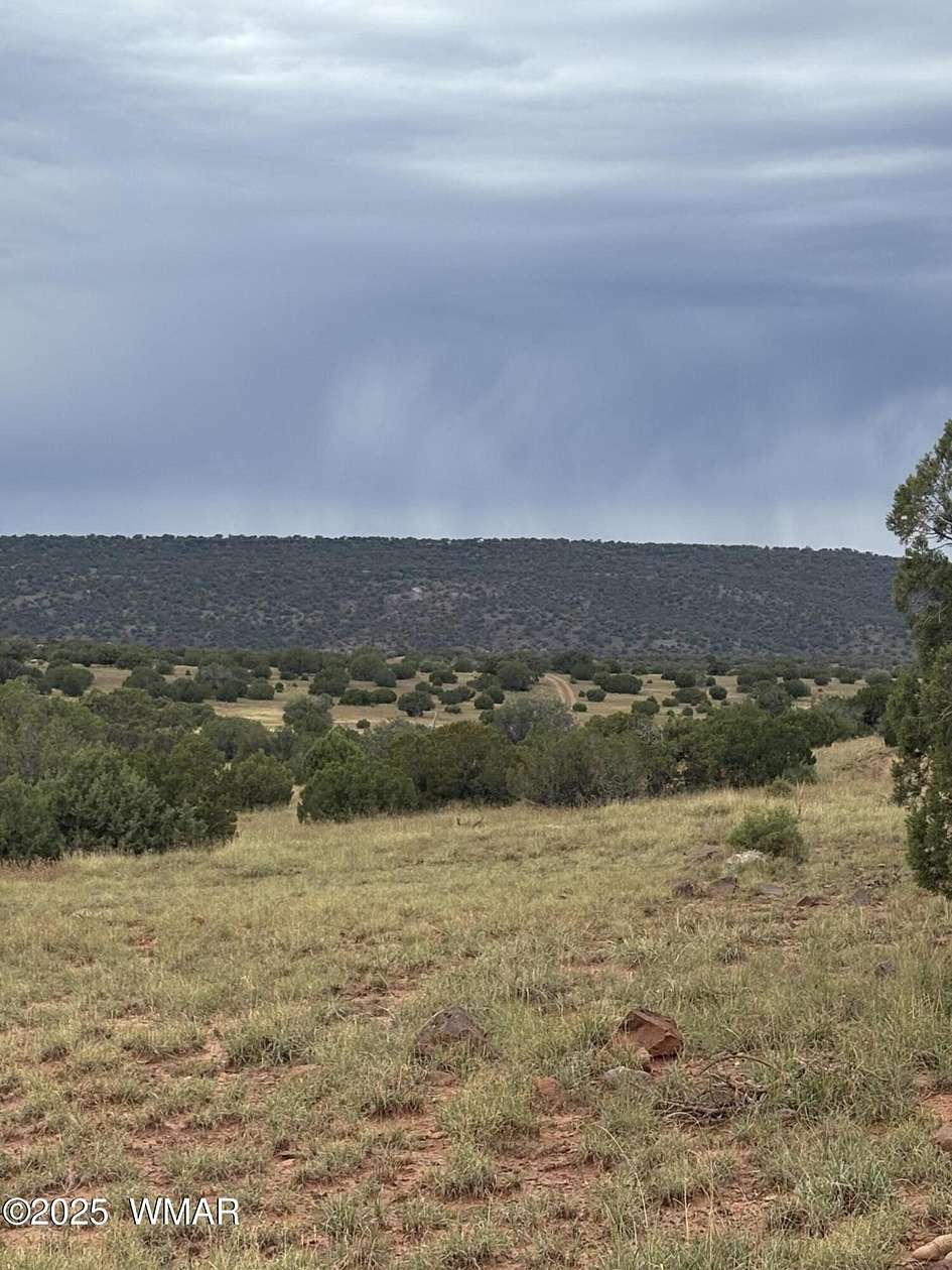 10.2 Acres of Land for Sale in Concho, Arizona