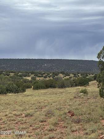 10.2 Acres of Land for Sale in Concho, Arizona