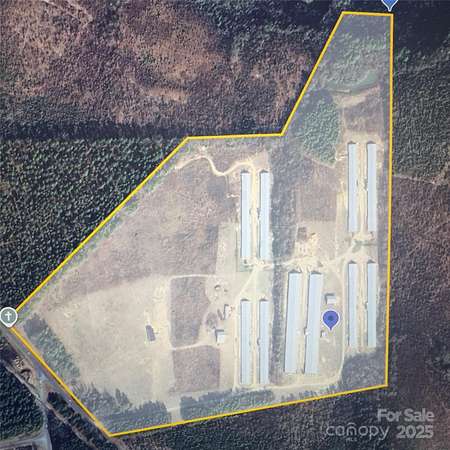 78 Acres of Agricultural Land for Sale in Laurel Hill, North Carolina