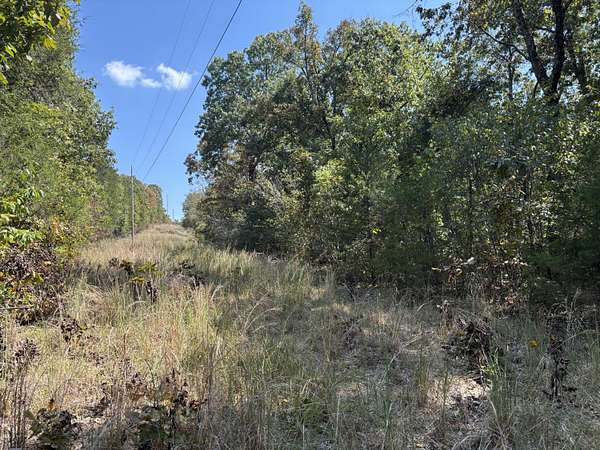 17.5 Acres of Land for Sale in Protem, Missouri