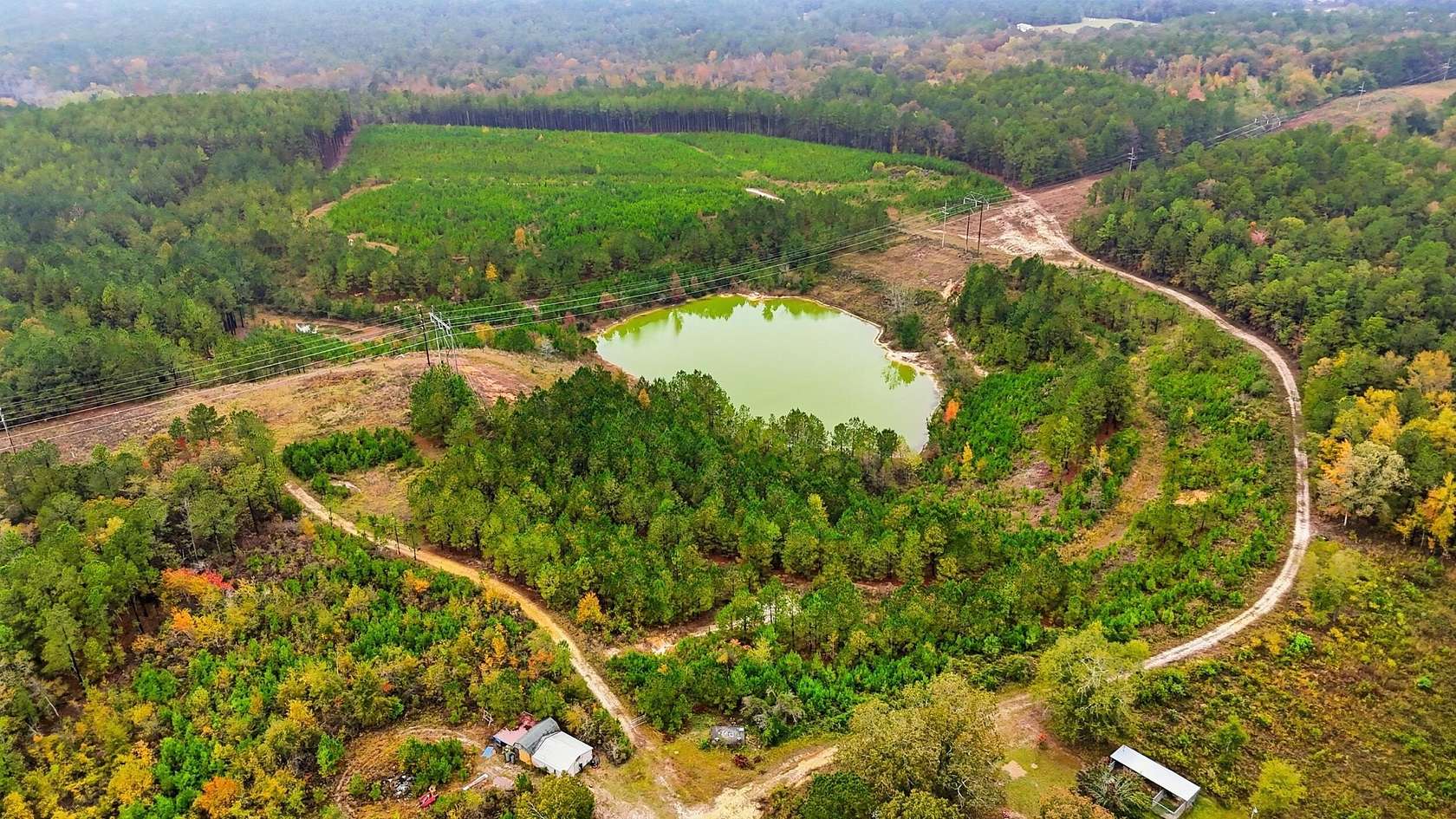 44 Acres of Recreational Land for Sale in Aiken, South Carolina