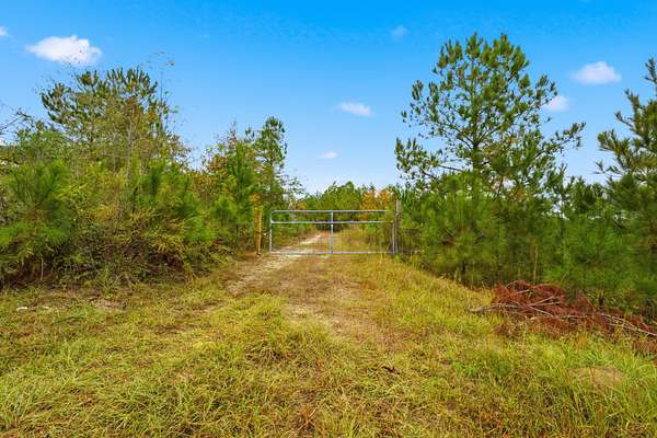 44 Acres of Recreational Land for Sale in Aiken, South Carolina