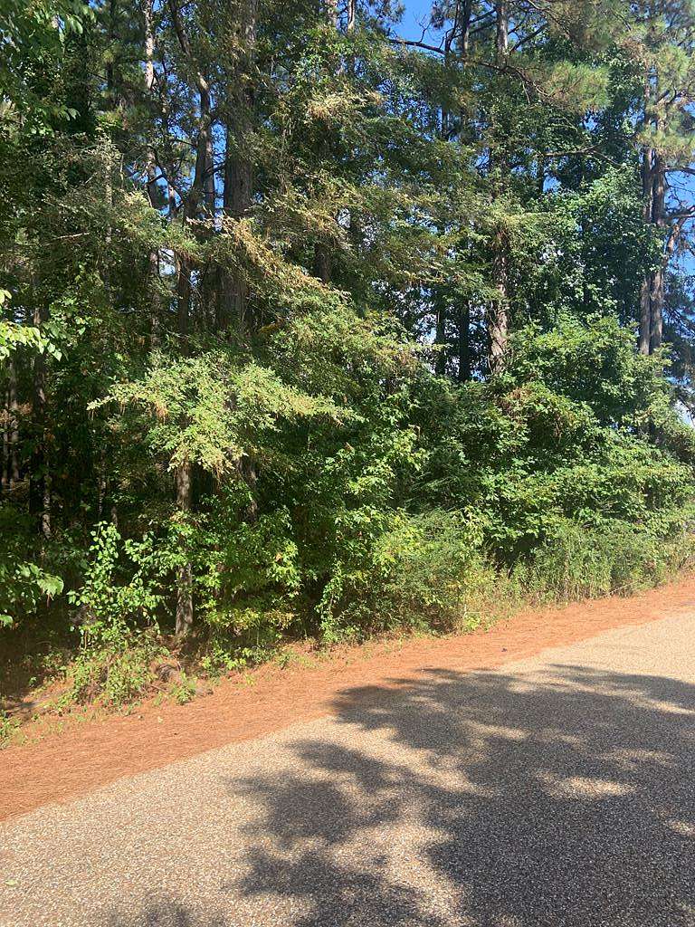 0.53 Acres of Residential Land for Sale in Texarkana, Texas