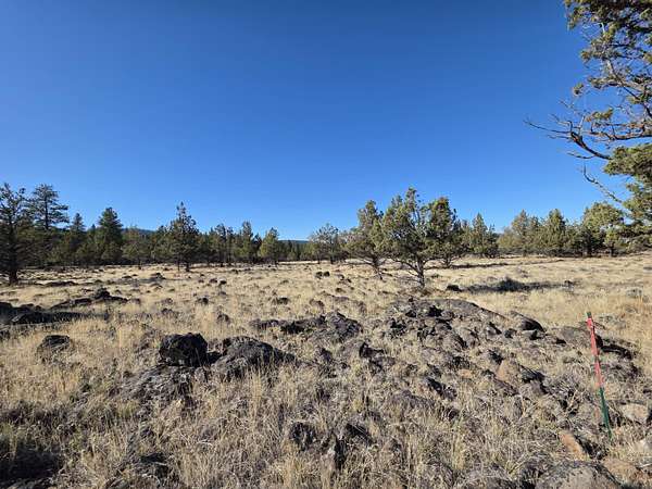 10 Acres of Residential Land for Sale in Klamath Falls, Oregon