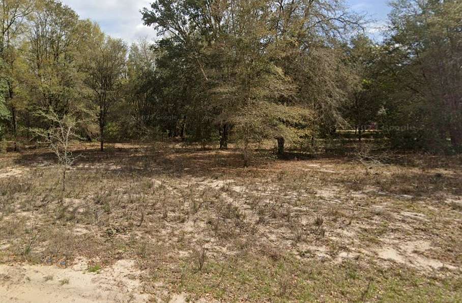0.22 Acres of Residential Land for Sale in Gainesville, Florida