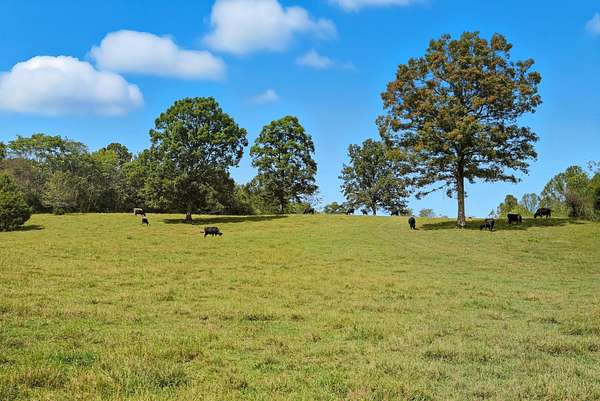 170 Acres of Recreational Land & Farm for Sale in Sparta, Tennessee