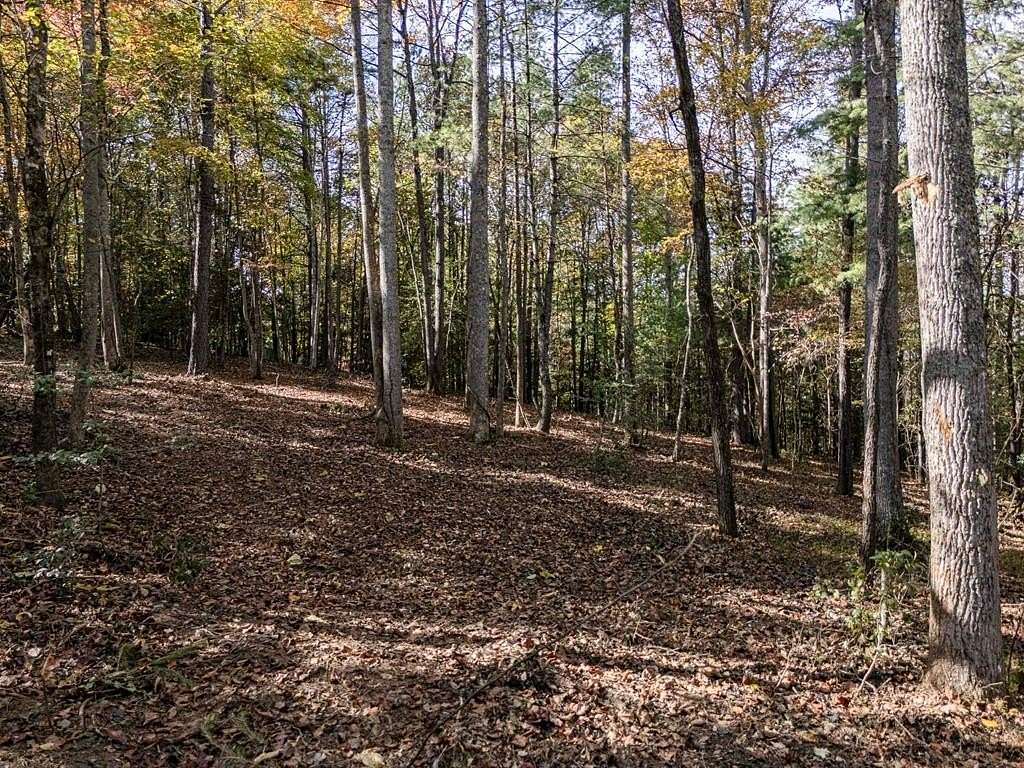 7 Acres of Residential Land for Sale in Blairsville, Georgia