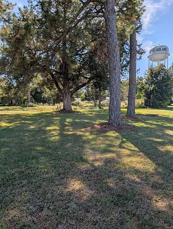 1.16 Acres of Commercial Land for Sale in Headland, Alabama