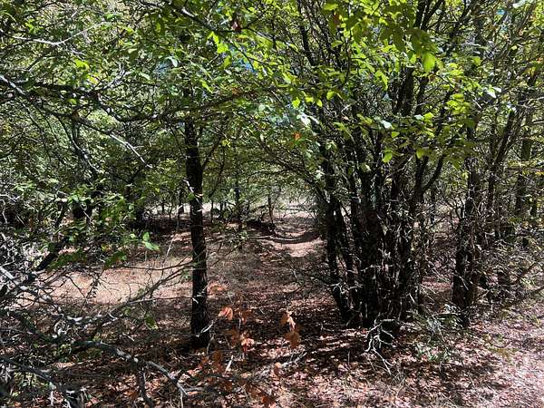 165 Acres of Recreational Land for Sale in Loving, Texas
