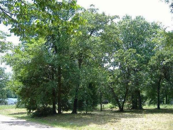 0.12 Acres of Land for Sale in Tool, Texas