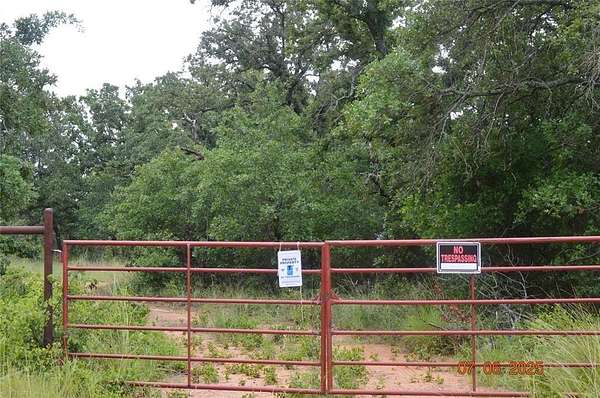 92 Acres of Recreational Land & Farm for Sale in Carbon, Texas