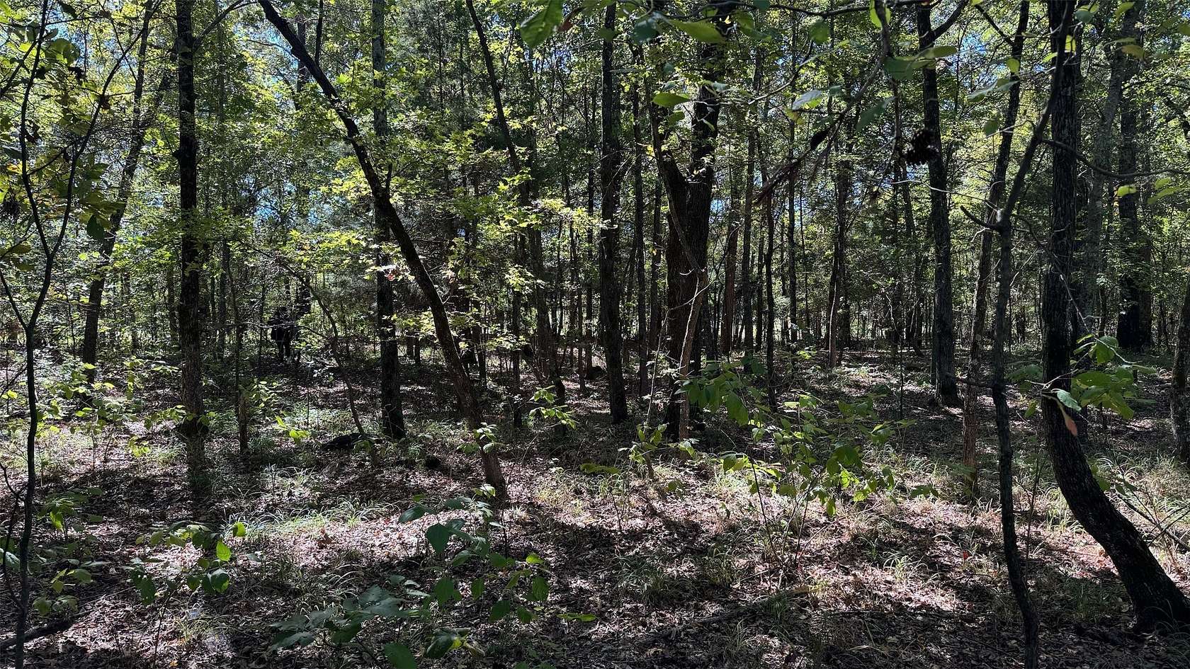 25.9 Acres of Recreational & Residential Land for Sale in Bagwell, Texas