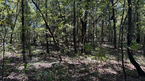 25.9 Acres of Recreational & Residential Land for Sale in Bagwell, Texas