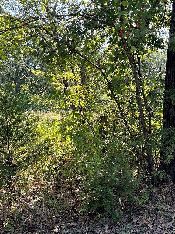 0.11 Acres of Residential Land for Sale in Hawk Cove, Texas