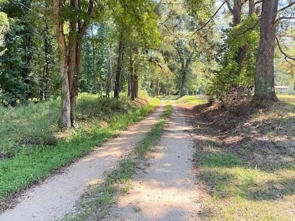 15 Acres of Recreational Land for Sale in Camden, Texas