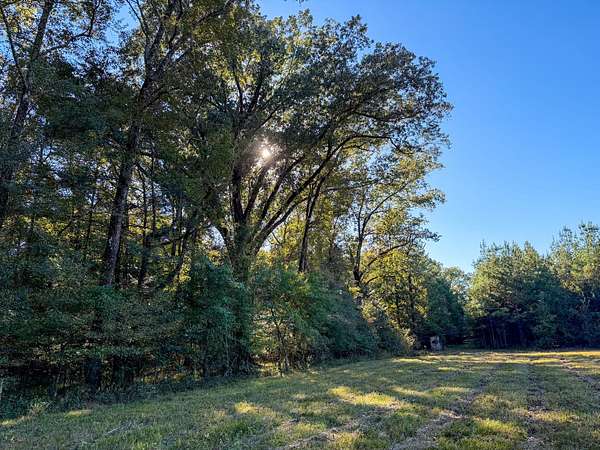 133 Acres of Recreational Land for Sale in Troy, Alabama