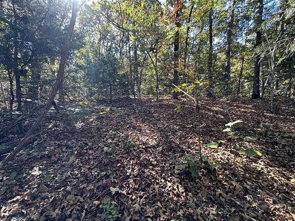0.3 Acres of Residential Land for Sale in Horseshoe Bend, Arkansas