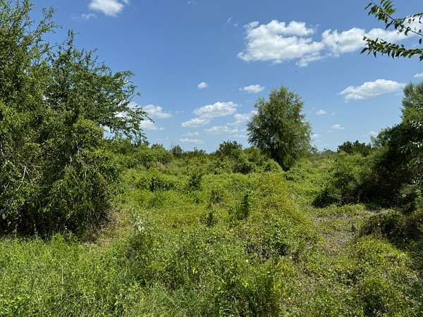 1.5 Acres of Residential Land for Sale in Three Rivers, Texas