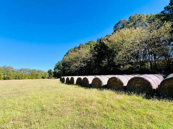 136 Acres of Land for Sale in Potts Camp, Mississippi