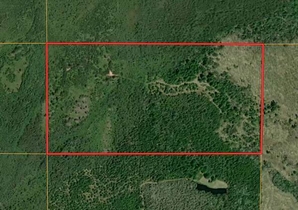 80 Acres of Recreational Land for Sale in Germfask, Michigan
