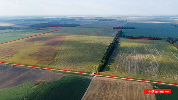 440 Acres of Agricultural Land for Sale in East Prairie, Missouri