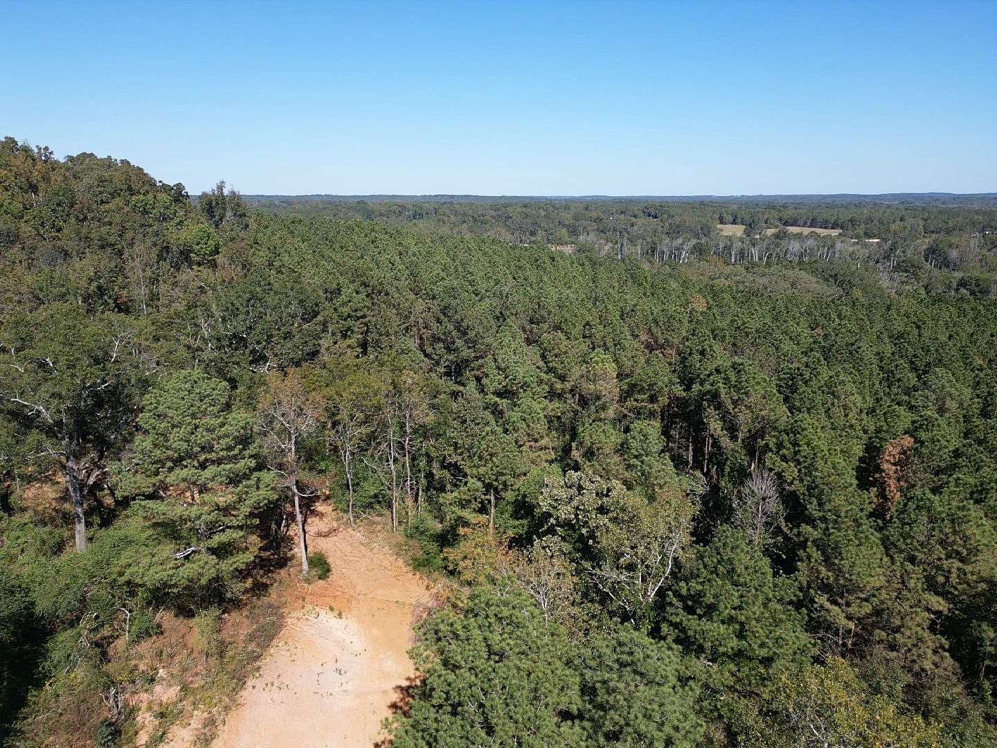 35 Acres of Recreational Land for Sale in Gordo, Alabama