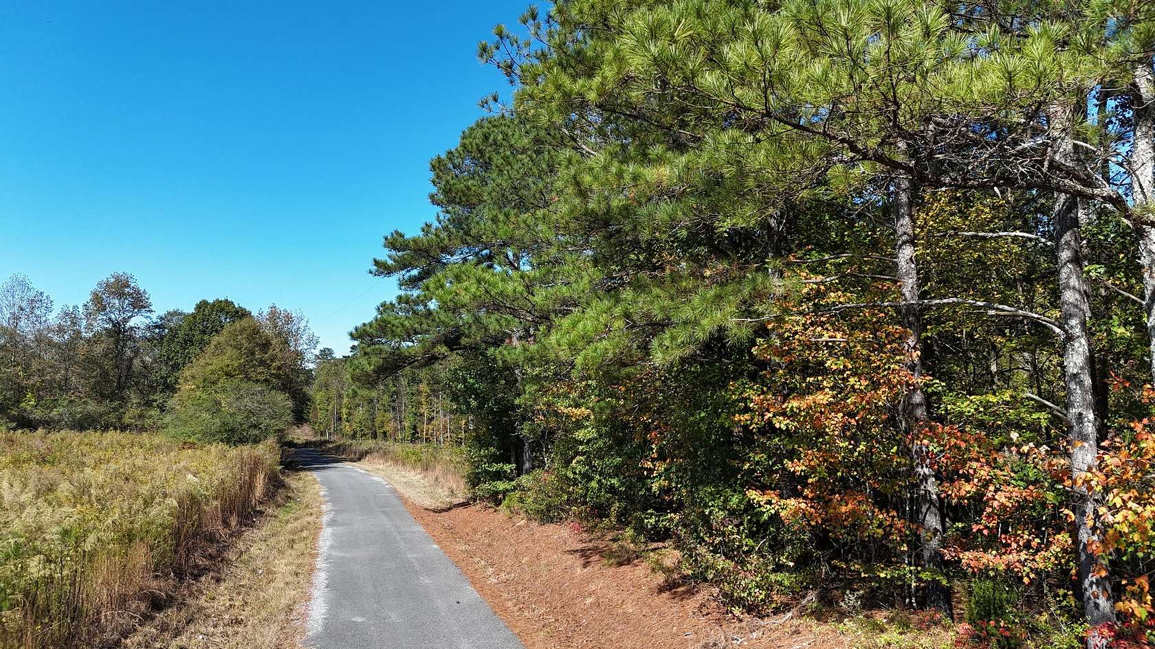 10 Acres of Residential Land for Sale in Sand Rock, Alabama