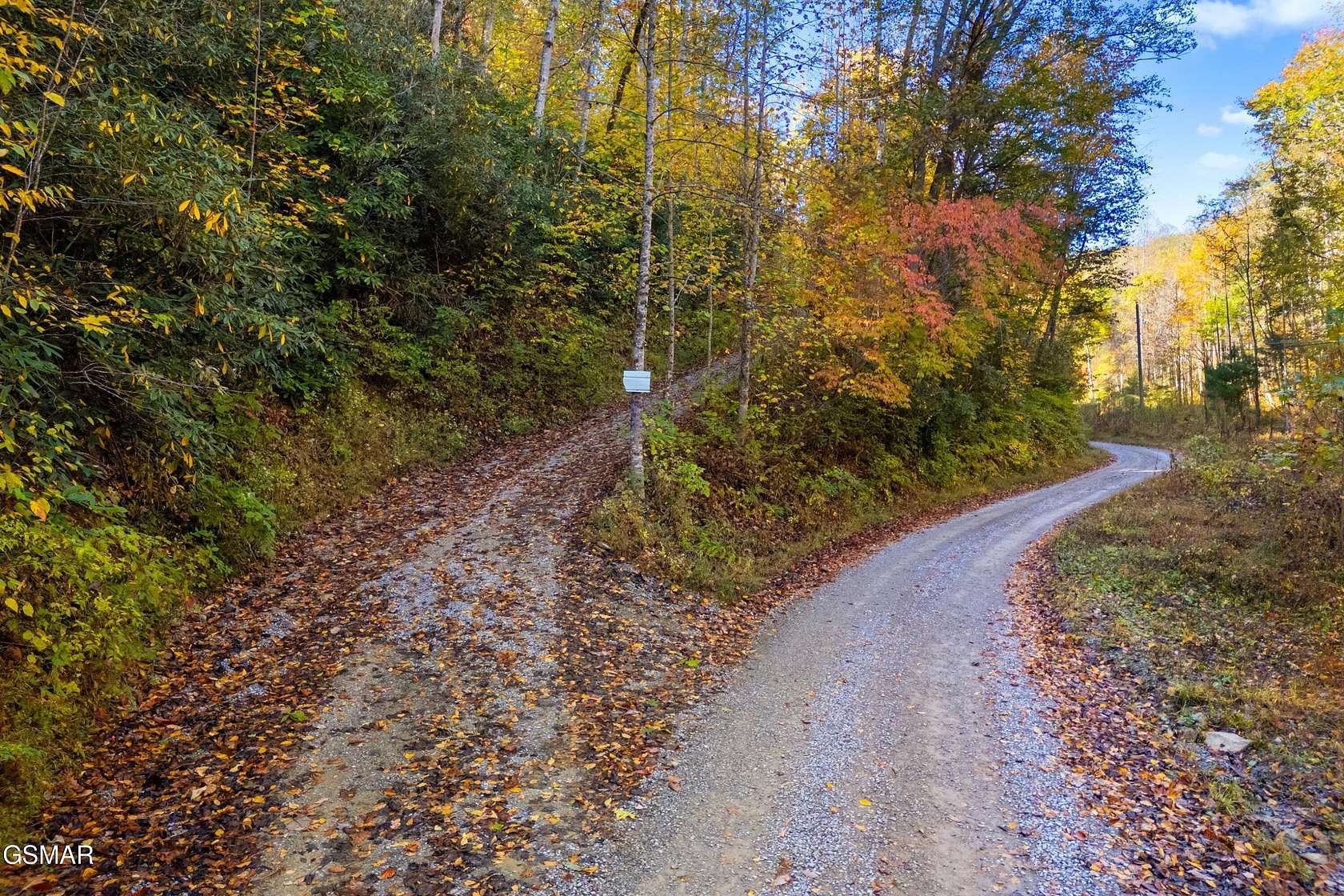 5.37 Acres of Residential Land for Sale in Del Rio, Tennessee