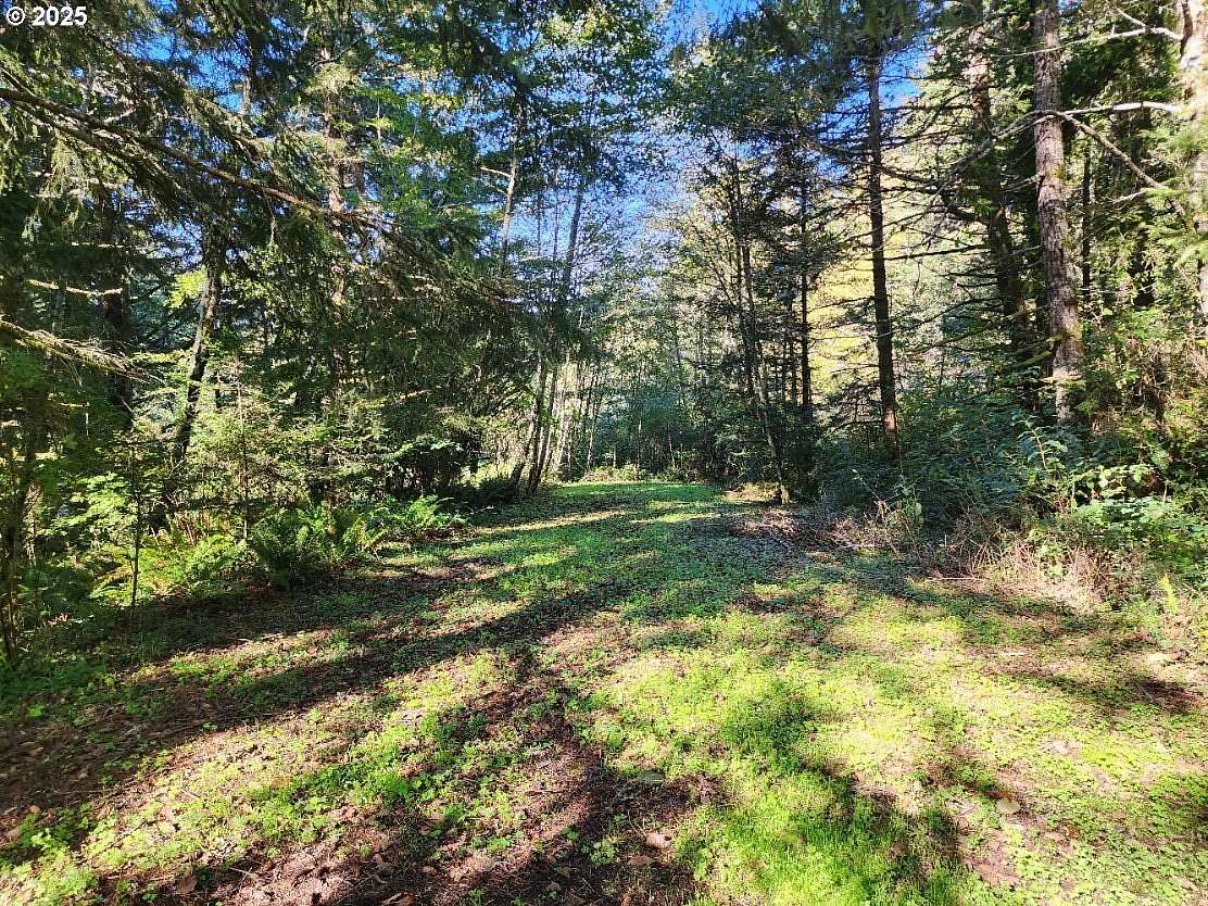 1.24 Acres of Residential Land for Sale in Gold Beach, Oregon