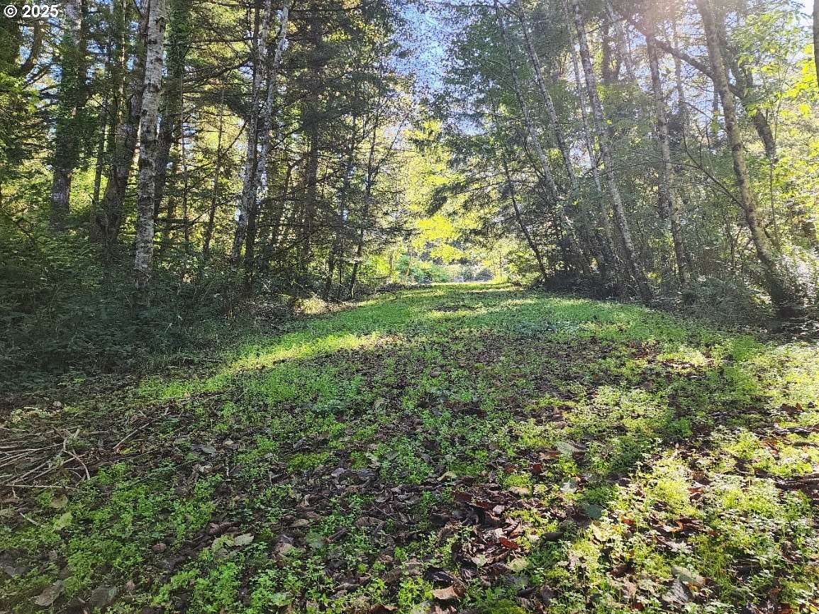 1.24 Acres of Residential Land for Sale in Gold Beach, Oregon