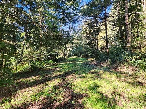 1.24 Acres of Residential Land for Sale in Gold Beach, Oregon