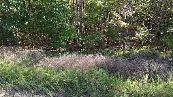 3.5 Acres of Residential Land for Sale in New Tazewell, Tennessee