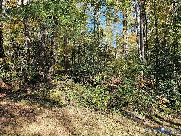 5.26 Acres of Agricultural Land for Sale in Maidens, Virginia